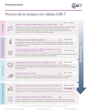 Una imagen dividida en secciones que muestra los detalles de una consulta, antes del tratamiento, durante el tratamiento y después del tratamiento. Abra el PDF vinculado para acceder al documento.